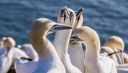 爱游戏-校园篮球训练节奏是否与学习任务脱节，篮球运球节奏训练