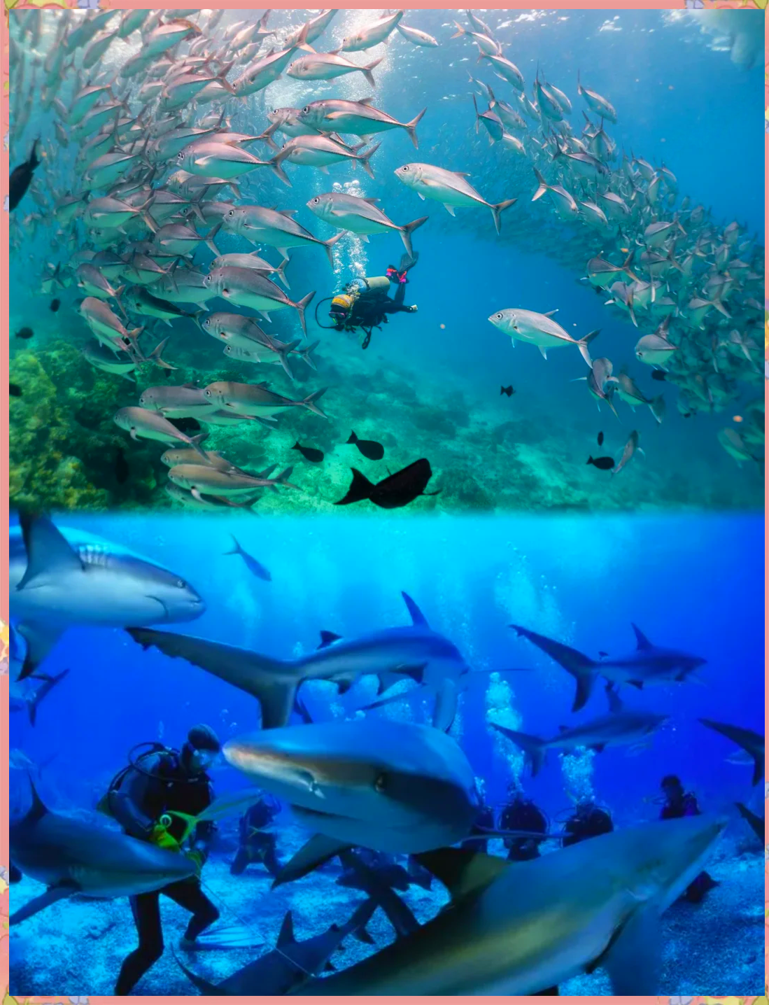 爱游戏体育APP下载-海底潜水深探，探索神秘的海底世界宝藏的简单介绍