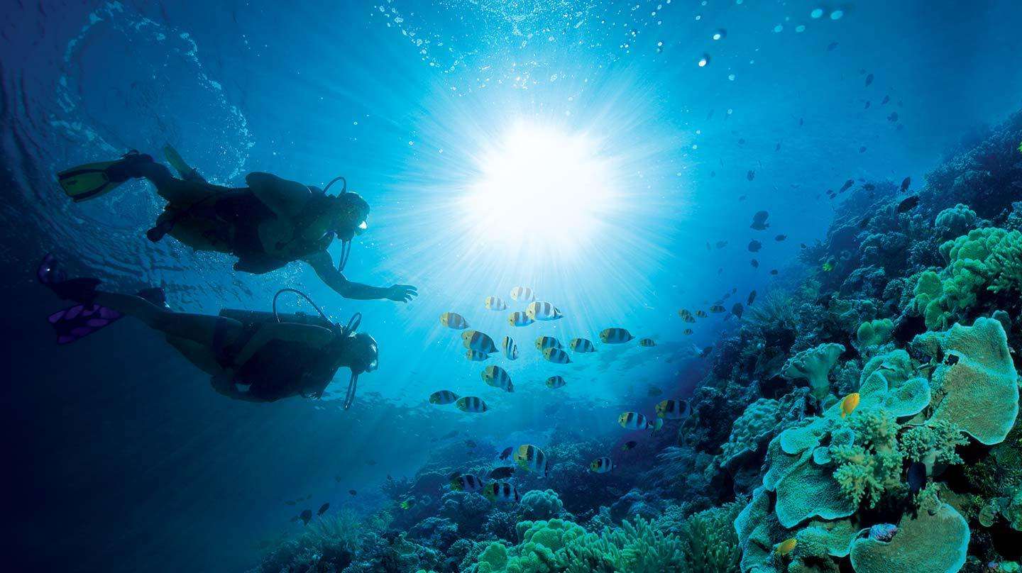 海底潜水深探,探索神秘的海底世界宝藏的简单介绍 海底潜水深探,探索神秘的海底世界宝藏的简单介绍